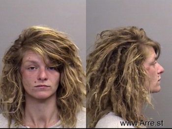 Ashley Brooke Ireland Mugshot