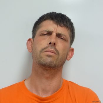 Brad Robert Wood Mugshot