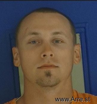 Brandon James Williamson Mugshot