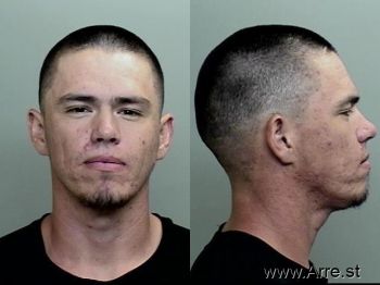 Brendan Christopher Britton Mugshot