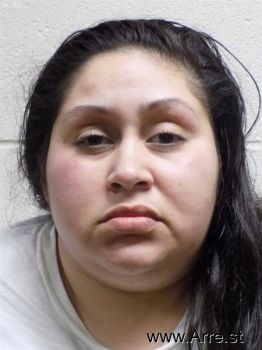 Christina Lorraine Palacio Mugshot