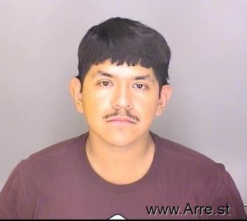 Carlos  Delgado-guadarrama Mugshot