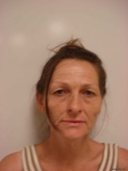 Cheryl Lynn Anderson Mugshot