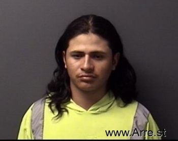 Cristian Alberto Sanchezflorian Mugshot