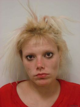 Cynthia Marie Luper Mugshot