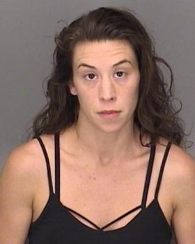 Dana Lynn Mosk Mugshot