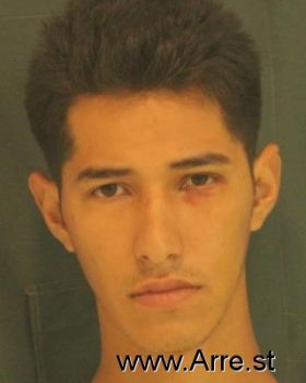 Daniel Nmn Castro-fernandez Mugshot