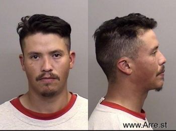 Daniel  Saucedogaona Mugshot