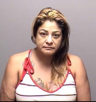 Delia Camacho Subia Mugshot