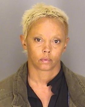 Desiree Alyssa Taylor Mugshot