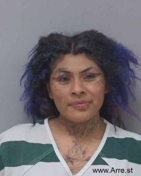 Dianet  Francisco Mugshot