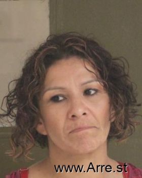 Elizabeth G Gonzalez Mugshot