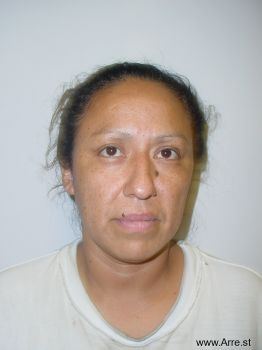 Elizabeth  Morales Mugshot