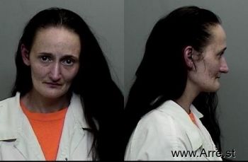 Erica Louise Allen Mugshot