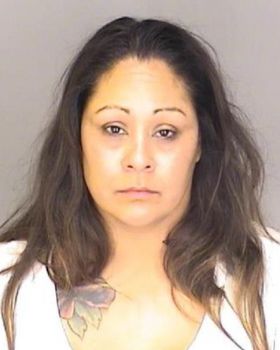 Erica Marie Coronado Mugshot