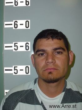 Fernando  Flores-nunez Mugshot