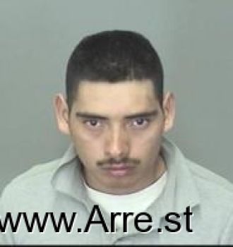 Gabriel David-lainez Castro Mugshot