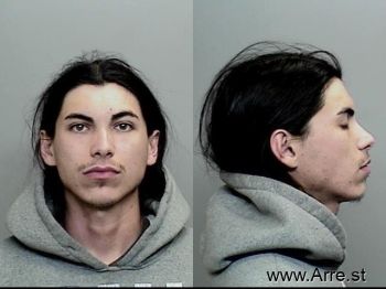 Gabriel Emmett Martucci Mugshot