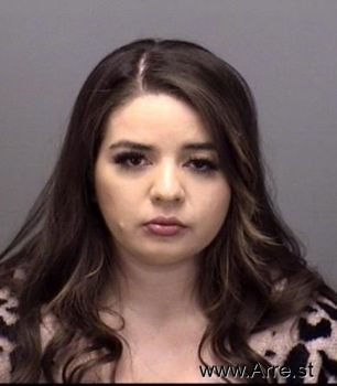 Gabriela  Medina Mugshot