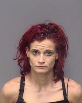 Gina Marie Decoste Mugshot