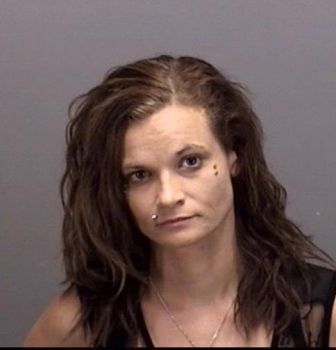 Gina Marie Decoste Mugshot