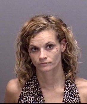 Gina Marie Decoste Mugshot