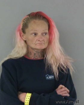 Gina Marie Pillow Mugshot