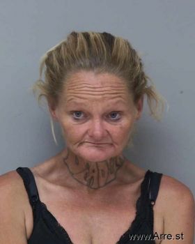 Gina Marie Pillow Mugshot