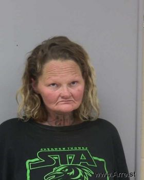 Gina Marie Pillow Mugshot