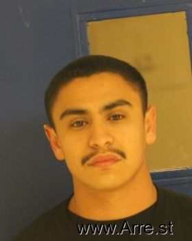 Gustavo Ladessa Gutierrez Mugshot