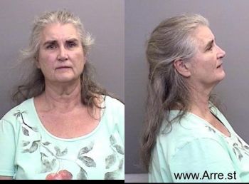 Helen Ann Blessman Mugshot