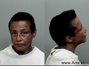 Ileana Amelia Amrull Mugshot