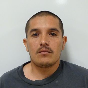 Jose Adolfo Tapiagutierez Mugshot