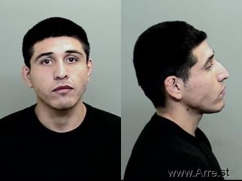 Jarrett Karl Nelson Mugshot