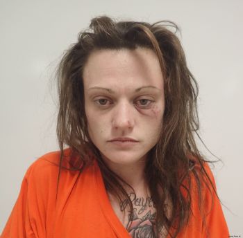 Jessica Elizabeth Fowler Mugshot