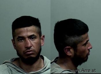 Jesus Alberto Junior Delgado Mugshot