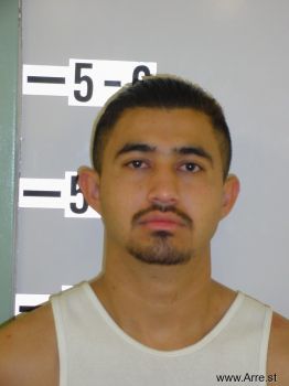 Joel  Alvarado-camacho Mugshot