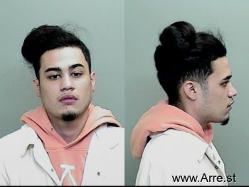 Jose Luis Armentabribiesca Mugshot