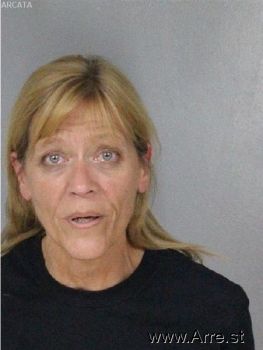 Karen Lee Steinbach Mugshot