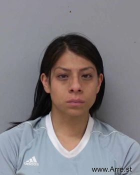 Karen  Castillo Mugshot