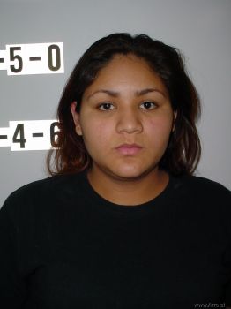 Karina Guadalupe Vasquez Mugshot