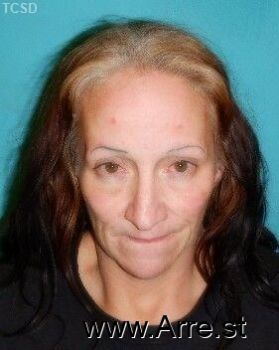 Lisa Dawn Villegas Mugshot