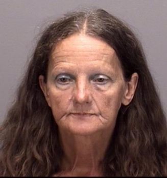 Linda Caron Wilson Mugshot