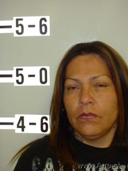 Lisa Louise Brown Mugshot