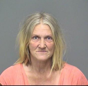 Lisa Gayle Herrington Mugshot