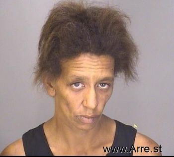 Lisa Marie Locken Mugshot