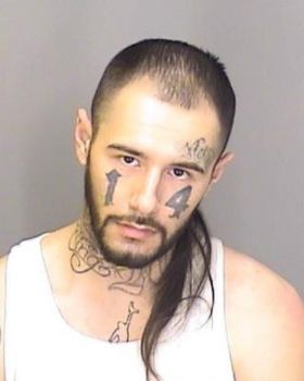 Lorenzo  Flores Mugshot