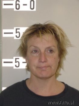 Lori Kim Larson Mugshot