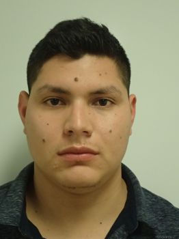 Luis Enrique Acosta Gamboa Mugshot