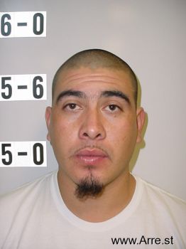 Luis Enrique Avila Mugshot